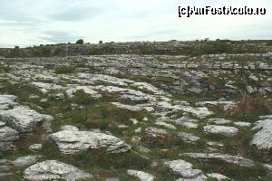 [P01] Peisaj definitoriu pentru ținutul Burren » foto by ariciu*
 - 
<span class="allrVoted glyphicon glyphicon-heart hidden" id="av511317"></span>
<a class="m-l-10 hidden" id="sv511317" onclick="voting_Foto_DelVot(,511317,10242)" role="button">șterge vot <span class="glyphicon glyphicon-remove"></span></a>
<a id="v9511317" class=" c-red"  onclick="voting_Foto_SetVot(511317)" role="button"><span class="glyphicon glyphicon-heart-empty"></span> <b>LIKE</b> = Votează poza</a> <img class="hidden"  id="f511317W9" src="/imagini/loader.gif" border="0" /><span class="AjErrMes hidden" id="e511317ErM"></span>