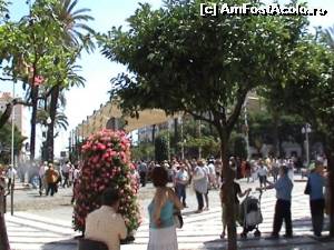 [P06] Piaza San Juan de Dios din Cadiz - în spate este promenada din port » foto by Carmen Ion
 - 
<span class="allrVoted glyphicon glyphicon-heart hidden" id="av604526"></span>
<a class="m-l-10 hidden" id="sv604526" onclick="voting_Foto_DelVot(,604526,10280)" role="button">șterge vot <span class="glyphicon glyphicon-remove"></span></a>
<a id="v9604526" class=" c-red"  onclick="voting_Foto_SetVot(604526)" role="button"><span class="glyphicon glyphicon-heart-empty"></span> <b>LIKE</b> = Votează poza</a> <img class="hidden"  id="f604526W9" src="/imagini/loader.gif" border="0" /><span class="AjErrMes hidden" id="e604526ErM"></span>