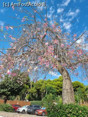 [P02]  -- <small>// FĂRĂ DESCRIERE</small> » foto by Maya_C
 - 
<span class="allrVoted glyphicon glyphicon-heart hidden" id="av1503289"></span>
<a class="m-l-10 hidden" id="sv1503289" onclick="voting_Foto_DelVot(,1503289,10280)" role="button">șterge vot <span class="glyphicon glyphicon-remove"></span></a>
<a id="v91503289" class=" c-red"  onclick="voting_Foto_SetVot(1503289)" role="button"><span class="glyphicon glyphicon-heart-empty"></span> <b>LIKE</b> = Votează poza</a> <img class="hidden"  id="f1503289W9" src="/imagini/loader.gif" border="0" /><span class="AjErrMes hidden" id="e1503289ErM"></span>