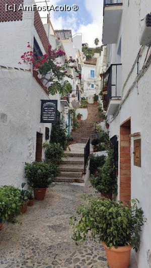 [P12]  -- <small>// FĂRĂ DESCRIERE</small> » foto by Maya_C
 - 
<span class="allrVoted glyphicon glyphicon-heart hidden" id="av1503514"></span>
<a class="m-l-10 hidden" id="sv1503514" onclick="voting_Foto_DelVot(,1503514,10280)" role="button">șterge vot <span class="glyphicon glyphicon-remove"></span></a>
<a id="v91503514" class=" c-red"  onclick="voting_Foto_SetVot(1503514)" role="button"><span class="glyphicon glyphicon-heart-empty"></span> <b>LIKE</b> = Votează poza</a> <img class="hidden"  id="f1503514W9" src="/imagini/loader.gif" border="0" /><span class="AjErrMes hidden" id="e1503514ErM"></span>