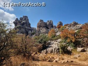 [P04]  -- <small>// FĂRĂ DESCRIERE</small> » foto by Maya_C
 - 
<span class="allrVoted glyphicon glyphicon-heart hidden" id="av1504314"></span>
<a class="m-l-10 hidden" id="sv1504314" onclick="voting_Foto_DelVot(,1504314,10280)" role="button">șterge vot <span class="glyphicon glyphicon-remove"></span></a>
<a id="v91504314" class=" c-red"  onclick="voting_Foto_SetVot(1504314)" role="button"><span class="glyphicon glyphicon-heart-empty"></span> <b>LIKE</b> = Votează poza</a> <img class="hidden"  id="f1504314W9" src="/imagini/loader.gif" border="0" /><span class="AjErrMes hidden" id="e1504314ErM"></span>