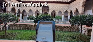 [P49] <strong>Palatul Real Alcázar, Sevilla
</strong> » foto by irinad
 - 
<span class="allrVoted glyphicon glyphicon-heart hidden" id="av1418786"></span>
<a class="m-l-10 hidden" id="sv1418786" onclick="voting_Foto_DelVot(,1418786,10280)" role="button">șterge vot <span class="glyphicon glyphicon-remove"></span></a>
<a id="v91418786" class=" c-red"  onclick="voting_Foto_SetVot(1418786)" role="button"><span class="glyphicon glyphicon-heart-empty"></span> <b>LIKE</b> = Votează poza</a> <img class="hidden"  id="f1418786W9" src="/imagini/loader.gif" border="0" /><span class="AjErrMes hidden" id="e1418786ErM"></span>