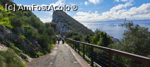 [P11] Gibraltar, la pas pe aleile rezervației (Gibraltar Nature Reserve) » foto by irinad
 - 
<span class="allrVoted glyphicon glyphicon-heart hidden" id="av1516136"></span>
<a class="m-l-10 hidden" id="sv1516136" onclick="voting_Foto_DelVot(,1516136,10280)" role="button">șterge vot <span class="glyphicon glyphicon-remove"></span></a>
<a id="v91516136" class=" c-red"  onclick="voting_Foto_SetVot(1516136)" role="button"><span class="glyphicon glyphicon-heart-empty"></span> <b>LIKE</b> = Votează poza</a> <img class="hidden"  id="f1516136W9" src="/imagini/loader.gif" border="0" /><span class="AjErrMes hidden" id="e1516136ErM"></span>