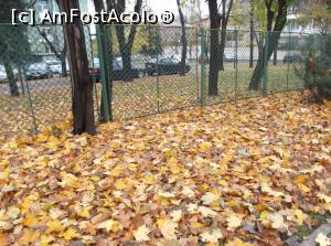 [P37] toamna prin Bucuresti » foto by adrianbogdan
 - 
<span class="allrVoted glyphicon glyphicon-heart hidden" id="av922793"></span>
<a class="m-l-10 hidden" id="sv922793" onclick="voting_Foto_DelVot(,922793,10344)" role="button">șterge vot <span class="glyphicon glyphicon-remove"></span></a>
<a id="v9922793" class=" c-red"  onclick="voting_Foto_SetVot(922793)" role="button"><span class="glyphicon glyphicon-heart-empty"></span> <b>LIKE</b> = Votează poza</a> <img class="hidden"  id="f922793W9" src="/imagini/loader.gif" border="0" /><span class="AjErrMes hidden" id="e922793ErM"></span>