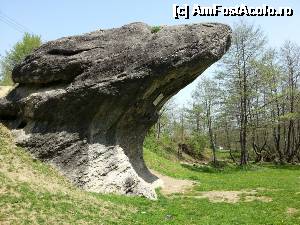 [P16] Monumentul - Calcarele cretacice de la Cisnădioara. 
 ,,Piatra Broaștei ,, » foto by bog68
 - 
<span class="allrVoted glyphicon glyphicon-heart hidden" id="av495646"></span>
<a class="m-l-10 hidden" id="sv495646" onclick="voting_Foto_DelVot(,495646,10358)" role="button">șterge vot <span class="glyphicon glyphicon-remove"></span></a>
<a id="v9495646" class=" c-red"  onclick="voting_Foto_SetVot(495646)" role="button"><span class="glyphicon glyphicon-heart-empty"></span> <b>LIKE</b> = Votează poza</a> <img class="hidden"  id="f495646W9" src="/imagini/loader.gif" border="0" /><span class="AjErrMes hidden" id="e495646ErM"></span>