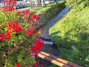 [P14] Podul peste pârâul Sighiel » foto by Carmen Ion
 - 
<span class="allrVoted glyphicon glyphicon-heart hidden" id="av1510377"></span>
<a class="m-l-10 hidden" id="sv1510377" onclick="voting_Foto_DelVot(,1510377,10358)" role="button">șterge vot <span class="glyphicon glyphicon-remove"></span></a>
<a id="v91510377" class=" c-red"  onclick="voting_Foto_SetVot(1510377)" role="button"><span class="glyphicon glyphicon-heart-empty"></span> <b>LIKE</b> = Votează poza</a> <img class="hidden"  id="f1510377W9" src="/imagini/loader.gif" border="0" /><span class="AjErrMes hidden" id="e1510377ErM"></span>