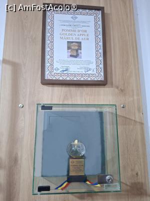 [P24] Muzeul de icoane pe sticlă Preot Zosim Oancea  - diploma și trofeul Mărul de aur » foto by Carmen Ion
 - 
<span class="allrVoted glyphicon glyphicon-heart hidden" id="av1510387"></span>
<a class="m-l-10 hidden" id="sv1510387" onclick="voting_Foto_DelVot(,1510387,10358)" role="button">șterge vot <span class="glyphicon glyphicon-remove"></span></a>
<a id="v91510387" class=" c-red"  onclick="voting_Foto_SetVot(1510387)" role="button"><span class="glyphicon glyphicon-heart-empty"></span> <b>LIKE</b> = Votează poza</a> <img class="hidden"  id="f1510387W9" src="/imagini/loader.gif" border="0" /><span class="AjErrMes hidden" id="e1510387ErM"></span>