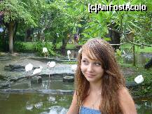 [P16]  -- <small>// FĂRĂ DESCRIERE</small> » foto by vali1967
 - 
<span class="allrVoted glyphicon glyphicon-heart hidden" id="av264939"></span>
<a class="m-l-10 hidden" id="sv264939" onclick="voting_Foto_DelVot(,264939,10380)" role="button">șterge vot <span class="glyphicon glyphicon-remove"></span></a>
<a id="v9264939" class=" c-red"  onclick="voting_Foto_SetVot(264939)" role="button"><span class="glyphicon glyphicon-heart-empty"></span> <b>LIKE</b> = Votează poza</a> <img class="hidden"  id="f264939W9" src="/imagini/loader.gif" border="0" /><span class="AjErrMes hidden" id="e264939ErM"></span>