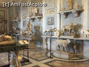 [P16] Museo Pio Clementino - Sala degli Animali » foto by Dan&Ema
 - 
<span class="allrVoted glyphicon glyphicon-heart hidden" id="av937648"></span>
<a class="m-l-10 hidden" id="sv937648" onclick="voting_Foto_DelVot(,937648,10398)" role="button">șterge vot <span class="glyphicon glyphicon-remove"></span></a>
<a id="v9937648" class=" c-red"  onclick="voting_Foto_SetVot(937648)" role="button"><span class="glyphicon glyphicon-heart-empty"></span> <b>LIKE</b> = Votează poza</a> <img class="hidden"  id="f937648W9" src="/imagini/loader.gif" border="0" /><span class="AjErrMes hidden" id="e937648ErM"></span>