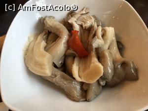[P07] Roata Norocului - ciupercile Pleurotus murate - excelente » foto by mishu
 - 
<span class="allrVoted glyphicon glyphicon-heart hidden" id="av1282923"></span>
<a class="m-l-10 hidden" id="sv1282923" onclick="voting_Foto_DelVot(,1282923,10418)" role="button">șterge vot <span class="glyphicon glyphicon-remove"></span></a>
<a id="v91282923" class=" c-red"  onclick="voting_Foto_SetVot(1282923)" role="button"><span class="glyphicon glyphicon-heart-empty"></span> <b>LIKE</b> = Votează poza</a> <img class="hidden"  id="f1282923W9" src="/imagini/loader.gif" border="0" /><span class="AjErrMes hidden" id="e1282923ErM"></span>