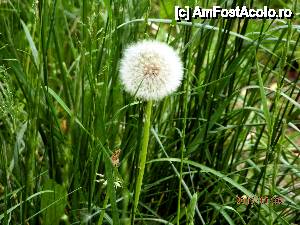 [P05]  -- <small>// FĂRĂ DESCRIERE</small> » foto by cristisch2003
 - 
<span class="allrVoted glyphicon glyphicon-heart hidden" id="av423262"></span>
<a class="m-l-10 hidden" id="sv423262" onclick="voting_Foto_DelVot(,423262,10421)" role="button">șterge vot <span class="glyphicon glyphicon-remove"></span></a>
<a id="v9423262" class=" c-red"  onclick="voting_Foto_SetVot(423262)" role="button"><span class="glyphicon glyphicon-heart-empty"></span> <b>LIKE</b> = Votează poza</a> <img class="hidden"  id="f423262W9" src="/imagini/loader.gif" border="0" /><span class="AjErrMes hidden" id="e423262ErM"></span>