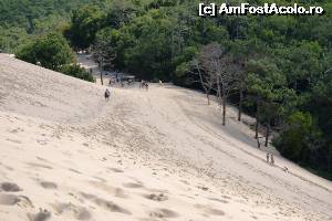 [P13] Dune du Pilat - în pantă » foto by makuy*
 - 
<span class="allrVoted glyphicon glyphicon-heart hidden" id="av577055"></span>
<a class="m-l-10 hidden" id="sv577055" onclick="voting_Foto_DelVot(,577055,10440)" role="button">șterge vot <span class="glyphicon glyphicon-remove"></span></a>
<a id="v9577055" class=" c-red"  onclick="voting_Foto_SetVot(577055)" role="button"><span class="glyphicon glyphicon-heart-empty"></span> <b>LIKE</b> = Votează poza</a> <img class="hidden"  id="f577055W9" src="/imagini/loader.gif" border="0" /><span class="AjErrMes hidden" id="e577055ErM"></span>