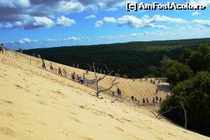 [P04] Dune du Pilat - urcuș » foto by makuy*
 - 
<span class="allrVoted glyphicon glyphicon-heart hidden" id="av577046"></span>
<a class="m-l-10 hidden" id="sv577046" onclick="voting_Foto_DelVot(,577046,10440)" role="button">șterge vot <span class="glyphicon glyphicon-remove"></span></a>
<a id="v9577046" class=" c-red"  onclick="voting_Foto_SetVot(577046)" role="button"><span class="glyphicon glyphicon-heart-empty"></span> <b>LIKE</b> = Votează poza</a> <img class="hidden"  id="f577046W9" src="/imagini/loader.gif" border="0" /><span class="AjErrMes hidden" id="e577046ErM"></span>