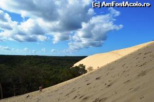 [P05] Dune du Pilat - altă imagine în pantă » foto by makuy*
 - 
<span class="allrVoted glyphicon glyphicon-heart hidden" id="av577047"></span>
<a class="m-l-10 hidden" id="sv577047" onclick="voting_Foto_DelVot(,577047,10440)" role="button">șterge vot <span class="glyphicon glyphicon-remove"></span></a>
<a id="v9577047" class=" c-red"  onclick="voting_Foto_SetVot(577047)" role="button"><span class="glyphicon glyphicon-heart-empty"></span> <b>LIKE</b> = Votează poza</a> <img class="hidden"  id="f577047W9" src="/imagini/loader.gif" border="0" /><span class="AjErrMes hidden" id="e577047ErM"></span>