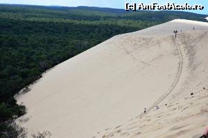 [P09] Dune du Pilat - în pantă » foto by makuy*
 - 
<span class="allrVoted glyphicon glyphicon-heart hidden" id="av577051"></span>
<a class="m-l-10 hidden" id="sv577051" onclick="voting_Foto_DelVot(,577051,10440)" role="button">șterge vot <span class="glyphicon glyphicon-remove"></span></a>
<a id="v9577051" class=" c-red"  onclick="voting_Foto_SetVot(577051)" role="button"><span class="glyphicon glyphicon-heart-empty"></span> <b>LIKE</b> = Votează poza</a> <img class="hidden"  id="f577051W9" src="/imagini/loader.gif" border="0" /><span class="AjErrMes hidden" id="e577051ErM"></span>