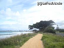 [P08] Apollo Bay,unde am ramas peste noapte,la marginea oceanului este unul din frumosii arbori care strajuiesc,in apropierea oceanului,cu coroana si frunzele asezate orizontal,ce da acest aspect,diferit de alti copaci » foto by grecudoina
 - 
<span class="allrVoted glyphicon glyphicon-heart hidden" id="av279488"></span>
<a class="m-l-10 hidden" id="sv279488" onclick="voting_Foto_DelVot(,279488,10590)" role="button">șterge vot <span class="glyphicon glyphicon-remove"></span></a>
<a id="v9279488" class=" c-red"  onclick="voting_Foto_SetVot(279488)" role="button"><span class="glyphicon glyphicon-heart-empty"></span> <b>LIKE</b> = Votează poza</a> <img class="hidden"  id="f279488W9" src="/imagini/loader.gif" border="0" /><span class="AjErrMes hidden" id="e279488ErM"></span>