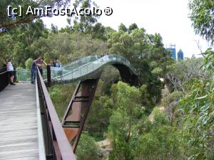 [P28] Western Australia – Perth: Grădina Botanică: podul Lotterywest Federation Walkway » foto by gigiiuti
 - 
<span class="allrVoted glyphicon glyphicon-heart hidden" id="av969297"></span>
<a class="m-l-10 hidden" id="sv969297" onclick="voting_Foto_DelVot(,969297,10590)" role="button">șterge vot <span class="glyphicon glyphicon-remove"></span></a>
<a id="v9969297" class=" c-red"  onclick="voting_Foto_SetVot(969297)" role="button"><span class="glyphicon glyphicon-heart-empty"></span> <b>LIKE</b> = Votează poza</a> <img class="hidden"  id="f969297W9" src="/imagini/loader.gif" border="0" /><span class="AjErrMes hidden" id="e969297ErM"></span>