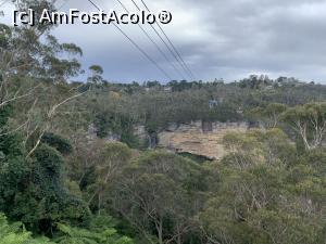 [P23] Scenic World,din telecabină » foto by AZE
 - 
<span class="allrVoted glyphicon glyphicon-heart hidden" id="av1385366"></span>
<a class="m-l-10 hidden" id="sv1385366" onclick="voting_Foto_DelVot(,1385366,10590)" role="button">șterge vot <span class="glyphicon glyphicon-remove"></span></a>
<a id="v91385366" class=" c-red"  onclick="voting_Foto_SetVot(1385366)" role="button"><span class="glyphicon glyphicon-heart-empty"></span> <b>LIKE</b> = Votează poza</a> <img class="hidden"  id="f1385366W9" src="/imagini/loader.gif" border="0" /><span class="AjErrMes hidden" id="e1385366ErM"></span>