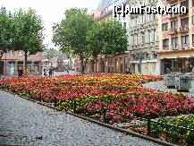 [P10] Mainz: Rondouri cu flori in zona centrala » foto by argemi*
 - 
<span class="allrVoted glyphicon glyphicon-heart hidden" id="av275567"></span>
<a class="m-l-10 hidden" id="sv275567" onclick="voting_Foto_DelVot(,275567,10598)" role="button">șterge vot <span class="glyphicon glyphicon-remove"></span></a>
<a id="v9275567" class=" c-red"  onclick="voting_Foto_SetVot(275567)" role="button"><span class="glyphicon glyphicon-heart-empty"></span> <b>LIKE</b> = Votează poza</a> <img class="hidden"  id="f275567W9" src="/imagini/loader.gif" border="0" /><span class="AjErrMes hidden" id="e275567ErM"></span>