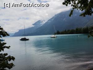 [P20] Lacul Brienz » foto by Marius 72
 - 
<span class="allrVoted glyphicon glyphicon-heart hidden" id="av1376616"></span>
<a class="m-l-10 hidden" id="sv1376616" onclick="voting_Foto_DelVot(,1376616,10615)" role="button">șterge vot <span class="glyphicon glyphicon-remove"></span></a>
<a id="v91376616" class=" c-red"  onclick="voting_Foto_SetVot(1376616)" role="button"><span class="glyphicon glyphicon-heart-empty"></span> <b>LIKE</b> = Votează poza</a> <img class="hidden"  id="f1376616W9" src="/imagini/loader.gif" border="0" /><span class="AjErrMes hidden" id="e1376616ErM"></span>