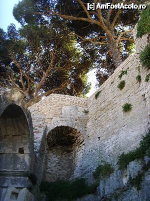 [P32] Ruine ale cetatii Pula » foto by felix
 - 
<span class="allrVoted glyphicon glyphicon-heart hidden" id="av432190"></span>
<a class="m-l-10 hidden" id="sv432190" onclick="voting_Foto_DelVot(,432190,10670)" role="button">șterge vot <span class="glyphicon glyphicon-remove"></span></a>
<a id="v9432190" class=" c-red"  onclick="voting_Foto_SetVot(432190)" role="button"><span class="glyphicon glyphicon-heart-empty"></span> <b>LIKE</b> = Votează poza</a> <img class="hidden"  id="f432190W9" src="/imagini/loader.gif" border="0" /><span class="AjErrMes hidden" id="e432190ErM"></span>
