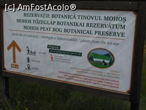 [P01] Tinovul Mohoș - Informații privind rezervația botanică Tinovul Mohoș. » foto by iulianic
 - 
<span class="allrVoted glyphicon glyphicon-heart hidden" id="av1375736"></span>
<a class="m-l-10 hidden" id="sv1375736" onclick="voting_Foto_DelVot(,1375736,10680)" role="button">șterge vot <span class="glyphicon glyphicon-remove"></span></a>
<a id="v91375736" class=" c-red"  onclick="voting_Foto_SetVot(1375736)" role="button"><span class="glyphicon glyphicon-heart-empty"></span> <b>LIKE</b> = Votează poza</a> <img class="hidden"  id="f1375736W9" src="/imagini/loader.gif" border="0" /><span class="AjErrMes hidden" id="e1375736ErM"></span>