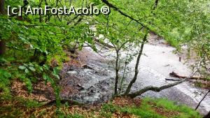 [P08] Vedere asupra părții de jos a băilor. Imagine din 2013, înainte de reabilitare. În prim-plan sunt izvoarele ”de ochi„ (tratamente oftalmologice, mai puțin acide și cu depuneri bogate de sulfați-alaun), iar în spate este bazinul de jos pentru băi de picioare » foto by Lucien
 - 
<span class="allrVoted glyphicon glyphicon-heart hidden" id="av799744"></span>
<a class="m-l-10 hidden" id="sv799744" onclick="voting_Foto_DelVot(,799744,10680)" role="button">șterge vot <span class="glyphicon glyphicon-remove"></span></a>
<a id="v9799744" class=" c-red"  onclick="voting_Foto_SetVot(799744)" role="button"><span class="glyphicon glyphicon-heart-empty"></span> <b>LIKE</b> = Votează poza</a> <img class="hidden"  id="f799744W9" src="/imagini/loader.gif" border="0" /><span class="AjErrMes hidden" id="e799744ErM"></span>