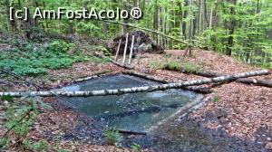 [P13] Băile Bukkos. Bazin de lemn, destul de degradat, în care apa minerală ”fierbe” zgomotos (vezi și video) datorită emanațiilor extraordinar de puternice de gaze mofetice » foto by Lucien
 - 
<span class="allrVoted glyphicon glyphicon-heart hidden" id="av800361"></span>
<a class="m-l-10 hidden" id="sv800361" onclick="voting_Foto_DelVot(,800361,10680)" role="button">șterge vot <span class="glyphicon glyphicon-remove"></span></a>
<a id="v9800361" class=" c-red"  onclick="voting_Foto_SetVot(800361)" role="button"><span class="glyphicon glyphicon-heart-empty"></span> <b>LIKE</b> = Votează poza</a> <img class="hidden"  id="f800361W9" src="/imagini/loader.gif" border="0" /><span class="AjErrMes hidden" id="e800361ErM"></span>