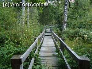 [P05] amenajare in varf de munte la Tinovul Buffogo » foto by buterfly*
 - 
<span class="allrVoted glyphicon glyphicon-heart hidden" id="av786136"></span>
<a class="m-l-10 hidden" id="sv786136" onclick="voting_Foto_DelVot(,786136,10680)" role="button">șterge vot <span class="glyphicon glyphicon-remove"></span></a>
<a id="v9786136" class=" c-red"  onclick="voting_Foto_SetVot(786136)" role="button"><span class="glyphicon glyphicon-heart-empty"></span> <b>LIKE</b> = Votează poza</a> <img class="hidden"  id="f786136W9" src="/imagini/loader.gif" border="0" /><span class="AjErrMes hidden" id="e786136ErM"></span>
