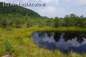[P13] Primul ochi de apă. Observaţi culoarea neagră a apei care-l face să semene cu o oglindă.  » foto by Utube
 - 
<span class="allrVoted glyphicon glyphicon-heart hidden" id="av775553"></span>
<a class="m-l-10 hidden" id="sv775553" onclick="voting_Foto_DelVot(,775553,10680)" role="button">șterge vot <span class="glyphicon glyphicon-remove"></span></a>
<a id="v9775553" class=" c-red"  onclick="voting_Foto_SetVot(775553)" role="button"><span class="glyphicon glyphicon-heart-empty"></span> <b>LIKE</b> = Votează poza</a> <img class="hidden"  id="f775553W9" src="/imagini/loader.gif" border="0" /><span class="AjErrMes hidden" id="e775553ErM"></span>