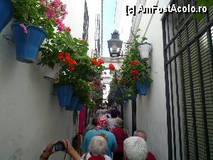 [P25] Cordoba, straduta » foto by cryss27
 - 
<span class="allrVoted glyphicon glyphicon-heart hidden" id="av385932"></span>
<a class="m-l-10 hidden" id="sv385932" onclick="voting_Foto_DelVot(,385932,10692)" role="button">șterge vot <span class="glyphicon glyphicon-remove"></span></a>
<a id="v9385932" class=" c-red"  onclick="voting_Foto_SetVot(385932)" role="button"><span class="glyphicon glyphicon-heart-empty"></span> <b>LIKE</b> = Votează poza</a> <img class="hidden"  id="f385932W9" src="/imagini/loader.gif" border="0" /><span class="AjErrMes hidden" id="e385932ErM"></span>