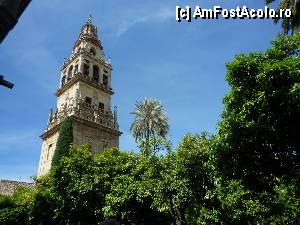 [P27] Cordoba » foto by cryss27
 - 
<span class="allrVoted glyphicon glyphicon-heart hidden" id="av385934"></span>
<a class="m-l-10 hidden" id="sv385934" onclick="voting_Foto_DelVot(,385934,10692)" role="button">șterge vot <span class="glyphicon glyphicon-remove"></span></a>
<a id="v9385934" class=" c-red"  onclick="voting_Foto_SetVot(385934)" role="button"><span class="glyphicon glyphicon-heart-empty"></span> <b>LIKE</b> = Votează poza</a> <img class="hidden"  id="f385934W9" src="/imagini/loader.gif" border="0" /><span class="AjErrMes hidden" id="e385934ErM"></span>