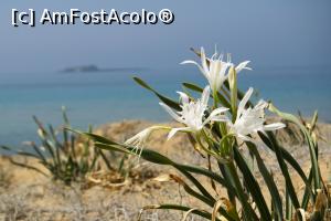 [P10]  -- <small>// FĂRĂ DESCRIERE</small> » foto by Maya_C
 - 
<span class="allrVoted glyphicon glyphicon-heart hidden" id="av1055593"></span>
<a class="m-l-10 hidden" id="sv1055593" onclick="voting_Foto_DelVot(,1055593,10695)" role="button">șterge vot <span class="glyphicon glyphicon-remove"></span></a>
<a id="v91055593" class=" c-red"  onclick="voting_Foto_SetVot(1055593)" role="button"><span class="glyphicon glyphicon-heart-empty"></span> <b>LIKE</b> = Votează poza</a> <img class="hidden"  id="f1055593W9" src="/imagini/loader.gif" border="0" /><span class="AjErrMes hidden" id="e1055593ErM"></span>