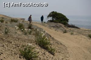 [P09] rezervatia dintre Issos si Korrision » foto by Maya_C
 - 
<span class="allrVoted glyphicon glyphicon-heart hidden" id="av1055592"></span>
<a class="m-l-10 hidden" id="sv1055592" onclick="voting_Foto_DelVot(,1055592,10695)" role="button">șterge vot <span class="glyphicon glyphicon-remove"></span></a>
<a id="v91055592" class=" c-red"  onclick="voting_Foto_SetVot(1055592)" role="button"><span class="glyphicon glyphicon-heart-empty"></span> <b>LIKE</b> = Votează poza</a> <img class="hidden"  id="f1055592W9" src="/imagini/loader.gif" border="0" /><span class="AjErrMes hidden" id="e1055592ErM"></span>