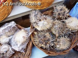 [P27] Animăluțe marine (pești balon)  » foto by Lucien
 - 
<span class="allrVoted glyphicon glyphicon-heart hidden" id="av786985"></span>
<a class="m-l-10 hidden" id="sv786985" onclick="voting_Foto_DelVot(,786985,10697)" role="button">șterge vot <span class="glyphicon glyphicon-remove"></span></a>
<a id="v9786985" class=" c-red"  onclick="voting_Foto_SetVot(786985)" role="button"><span class="glyphicon glyphicon-heart-empty"></span> <b>LIKE</b> = Votează poza</a> <img class="hidden"  id="f786985W9" src="/imagini/loader.gif" border="0" /><span class="AjErrMes hidden" id="e786985ErM"></span>