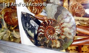 [P33] Superbă secțiune printr-un Nautilus fosilizat și umplut (natural?!) cu un material sidefos » foto by Lucien
 - 
<span class="allrVoted glyphicon glyphicon-heart hidden" id="av786991"></span>
<a class="m-l-10 hidden" id="sv786991" onclick="voting_Foto_DelVot(,786991,10697)" role="button">șterge vot <span class="glyphicon glyphicon-remove"></span></a>
<a id="v9786991" class=" c-red"  onclick="voting_Foto_SetVot(786991)" role="button"><span class="glyphicon glyphicon-heart-empty"></span> <b>LIKE</b> = Votează poza</a> <img class="hidden"  id="f786991W9" src="/imagini/loader.gif" border="0" /><span class="AjErrMes hidden" id="e786991ErM"></span>