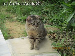 [P01] Orice numai peste nu! 
Prima locuitoare intalnita la digul din Kanoni.  » foto by elviramvio
 - 
<span class="allrVoted glyphicon glyphicon-heart hidden" id="av803098"></span>
<a class="m-l-10 hidden" id="sv803098" onclick="voting_Foto_DelVot(,803098,10697)" role="button">șterge vot <span class="glyphicon glyphicon-remove"></span></a>
<a id="v9803098" class=" c-red"  onclick="voting_Foto_SetVot(803098)" role="button"><span class="glyphicon glyphicon-heart-empty"></span> <b>LIKE</b> = Votează poza</a> <img class="hidden"  id="f803098W9" src="/imagini/loader.gif" border="0" /><span class="AjErrMes hidden" id="e803098ErM"></span>