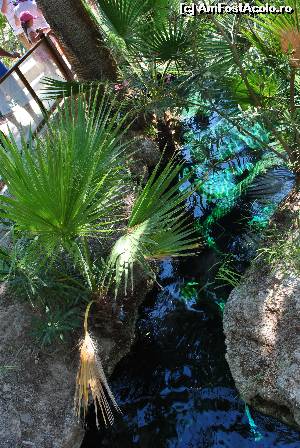 [P17] Piscina Cleopatrei - O portiune îngustă » foto by Gabise
 - 
<span class="allrVoted glyphicon glyphicon-heart hidden" id="av550180"></span>
<a class="m-l-10 hidden" id="sv550180" onclick="voting_Foto_DelVot(,550180,10714)" role="button">șterge vot <span class="glyphicon glyphicon-remove"></span></a>
<a id="v9550180" class=" c-red"  onclick="voting_Foto_SetVot(550180)" role="button"><span class="glyphicon glyphicon-heart-empty"></span> <b>LIKE</b> = Votează poza</a> <img class="hidden"  id="f550180W9" src="/imagini/loader.gif" border="0" /><span class="AjErrMes hidden" id="e550180ErM"></span>