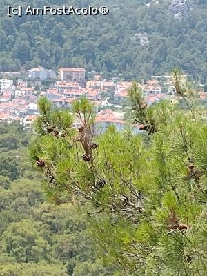 [P17] drumul catre Marmaris » foto by michaela_1961
 - 
<span class="allrVoted glyphicon glyphicon-heart hidden" id="av1313079"></span>
<a class="m-l-10 hidden" id="sv1313079" onclick="voting_Foto_DelVot(,1313079,10714)" role="button">șterge vot <span class="glyphicon glyphicon-remove"></span></a>
<a id="v91313079" class=" c-red"  onclick="voting_Foto_SetVot(1313079)" role="button"><span class="glyphicon glyphicon-heart-empty"></span> <b>LIKE</b> = Votează poza</a> <img class="hidden"  id="f1313079W9" src="/imagini/loader.gif" border="0" /><span class="AjErrMes hidden" id="e1313079ErM"></span>