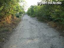 [P10]  -- <small>// FĂRĂ DESCRIERE</small> » foto by RUSTICCO
 - 
<span class="allrVoted glyphicon glyphicon-heart hidden" id="av283563"></span>
<a class="m-l-10 hidden" id="sv283563" onclick="voting_Foto_DelVot(,283563,10740)" role="button">șterge vot <span class="glyphicon glyphicon-remove"></span></a>
<a id="v9283563" class=" c-red"  onclick="voting_Foto_SetVot(283563)" role="button"><span class="glyphicon glyphicon-heart-empty"></span> <b>LIKE</b> = Votează poza</a> <img class="hidden"  id="f283563W9" src="/imagini/loader.gif" border="0" /><span class="AjErrMes hidden" id="e283563ErM"></span>