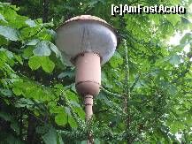 [P03]  -- <small>// FĂRĂ DESCRIERE</small> » foto by RUSTICCO
 - 
<span class="allrVoted glyphicon glyphicon-heart hidden" id="av283556"></span>
<a class="m-l-10 hidden" id="sv283556" onclick="voting_Foto_DelVot(,283556,10740)" role="button">șterge vot <span class="glyphicon glyphicon-remove"></span></a>
<a id="v9283556" class=" c-red"  onclick="voting_Foto_SetVot(283556)" role="button"><span class="glyphicon glyphicon-heart-empty"></span> <b>LIKE</b> = Votează poza</a> <img class="hidden"  id="f283556W9" src="/imagini/loader.gif" border="0" /><span class="AjErrMes hidden" id="e283556ErM"></span>