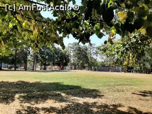 [P11] Parcul Sub Arini - locul de joacă pentru copii » foto by adso
 - 
<span class="allrVoted glyphicon glyphicon-heart hidden" id="av1250654"></span>
<a class="m-l-10 hidden" id="sv1250654" onclick="voting_Foto_DelVot(,1250654,10745)" role="button">șterge vot <span class="glyphicon glyphicon-remove"></span></a>
<a id="v91250654" class=" c-red"  onclick="voting_Foto_SetVot(1250654)" role="button"><span class="glyphicon glyphicon-heart-empty"></span> <b>LIKE</b> = Votează poza</a> <img class="hidden"  id="f1250654W9" src="/imagini/loader.gif" border="0" /><span class="AjErrMes hidden" id="e1250654ErM"></span>