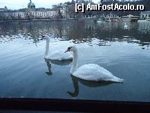 [P06] privelistea din fata geamului cabinei » foto by station5*
 - 
<span class="allrVoted glyphicon glyphicon-heart hidden" id="av285059"></span>
<a class="m-l-10 hidden" id="sv285059" onclick="voting_Foto_DelVot(,285059,10764)" role="button">șterge vot <span class="glyphicon glyphicon-remove"></span></a>
<a id="v9285059" class=" c-red"  onclick="voting_Foto_SetVot(285059)" role="button"><span class="glyphicon glyphicon-heart-empty"></span> <b>LIKE</b> = Votează poza</a> <img class="hidden"  id="f285059W9" src="/imagini/loader.gif" border="0" /><span class="AjErrMes hidden" id="e285059ErM"></span>
