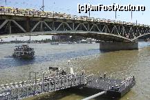 [P01]  -- <small>// FĂRĂ DESCRIERE</small> » foto by beberadutoiu*
 - 
<span class="allrVoted glyphicon glyphicon-heart hidden" id="av451564"></span>
<a class="m-l-10 hidden" id="sv451564" onclick="voting_Foto_DelVot(,451564,10785)" role="button">șterge vot <span class="glyphicon glyphicon-remove"></span></a>
<a id="v9451564" class=" c-red"  onclick="voting_Foto_SetVot(451564)" role="button"><span class="glyphicon glyphicon-heart-empty"></span> <b>LIKE</b> = Votează poza</a> <img class="hidden"  id="f451564W9" src="/imagini/loader.gif" border="0" /><span class="AjErrMes hidden" id="e451564ErM"></span>