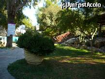 [P25] la oceanarium in Protaras ,au si o mica gradina zoologica pe langa oceanarium propriu zis » foto by Angelinne
 - 
<span class="allrVoted glyphicon glyphicon-heart hidden" id="av286778"></span>
<a class="m-l-10 hidden" id="sv286778" onclick="voting_Foto_DelVot(,286778,10819)" role="button">șterge vot <span class="glyphicon glyphicon-remove"></span></a>
<a id="v9286778" class=" c-red"  onclick="voting_Foto_SetVot(286778)" role="button"><span class="glyphicon glyphicon-heart-empty"></span> <b>LIKE</b> = Votează poza</a> <img class="hidden"  id="f286778W9" src="/imagini/loader.gif" border="0" /><span class="AjErrMes hidden" id="e286778ErM"></span>