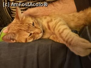 [P09] Una din rezidentele permanente de la Rixos, aici foarte atașată de una din coapsele lui Tati » foto by crismis
 - 
<span class="allrVoted glyphicon glyphicon-heart hidden" id="av1045684"></span>
<a class="m-l-10 hidden" id="sv1045684" onclick="voting_Foto_DelVot(,1045684,10840)" role="button">șterge vot <span class="glyphicon glyphicon-remove"></span></a>
<a id="v91045684" class=" c-red"  onclick="voting_Foto_SetVot(1045684)" role="button"><span class="glyphicon glyphicon-heart-empty"></span> <b>LIKE</b> = Votează poza</a> <img class="hidden"  id="f1045684W9" src="/imagini/loader.gif" border="0" /><span class="AjErrMes hidden" id="e1045684ErM"></span>