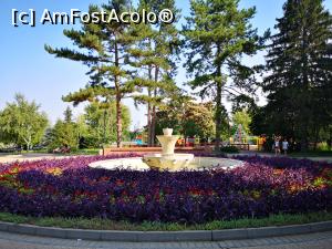 [P07] Silistra - plimbare prin Grădinile Dunării » foto by crismis
 - 
<span class="allrVoted glyphicon glyphicon-heart hidden" id="av1099862"></span>
<a class="m-l-10 hidden" id="sv1099862" onclick="voting_Foto_DelVot(,1099862,10840)" role="button">șterge vot <span class="glyphicon glyphicon-remove"></span></a>
<a id="v91099862" class=" c-red"  onclick="voting_Foto_SetVot(1099862)" role="button"><span class="glyphicon glyphicon-heart-empty"></span> <b>LIKE</b> = Votează poza</a> <img class="hidden"  id="f1099862W9" src="/imagini/loader.gif" border="0" /><span class="AjErrMes hidden" id="e1099862ErM"></span>