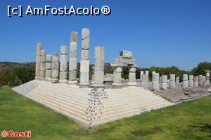 [P35] Apollon Smintheion » foto by Costi
 - 
<span class="allrVoted glyphicon glyphicon-heart hidden" id="av1189830"></span>
<a class="m-l-10 hidden" id="sv1189830" onclick="voting_Foto_DelVot(,1189830,10840)" role="button">șterge vot <span class="glyphicon glyphicon-remove"></span></a>
<a id="v91189830" class=" c-red"  onclick="voting_Foto_SetVot(1189830)" role="button"><span class="glyphicon glyphicon-heart-empty"></span> <b>LIKE</b> = Votează poza</a> <img class="hidden"  id="f1189830W9" src="/imagini/loader.gif" border="0" /><span class="AjErrMes hidden" id="e1189830ErM"></span>