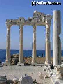 [P18] Side - Templul lui Apollo » foto by Pami*
 - 
<span class="allrVoted glyphicon glyphicon-heart hidden" id="av286997"></span>
<a class="m-l-10 hidden" id="sv286997" onclick="voting_Foto_DelVot(,286997,10840)" role="button">șterge vot <span class="glyphicon glyphicon-remove"></span></a>
<a id="v9286997" class=" c-red"  onclick="voting_Foto_SetVot(286997)" role="button"><span class="glyphicon glyphicon-heart-empty"></span> <b>LIKE</b> = Votează poza</a> <img class="hidden"  id="f286997W9" src="/imagini/loader.gif" border="0" /><span class="AjErrMes hidden" id="e286997ErM"></span>