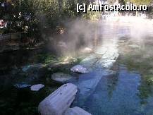 [P07] Bazinul termal din Hierapolis » foto by Pami*
 - 
<span class="allrVoted glyphicon glyphicon-heart hidden" id="av286985"></span>
<a class="m-l-10 hidden" id="sv286985" onclick="voting_Foto_DelVot(,286985,10840)" role="button">șterge vot <span class="glyphicon glyphicon-remove"></span></a>
<a id="v9286985" class=" c-red"  onclick="voting_Foto_SetVot(286985)" role="button"><span class="glyphicon glyphicon-heart-empty"></span> <b>LIKE</b> = Votează poza</a> <img class="hidden"  id="f286985W9" src="/imagini/loader.gif" border="0" /><span class="AjErrMes hidden" id="e286985ErM"></span>